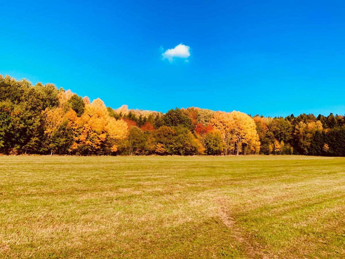 Bayerischer Wald - Balbersdorf Waffenbrunn Buitenkant foto