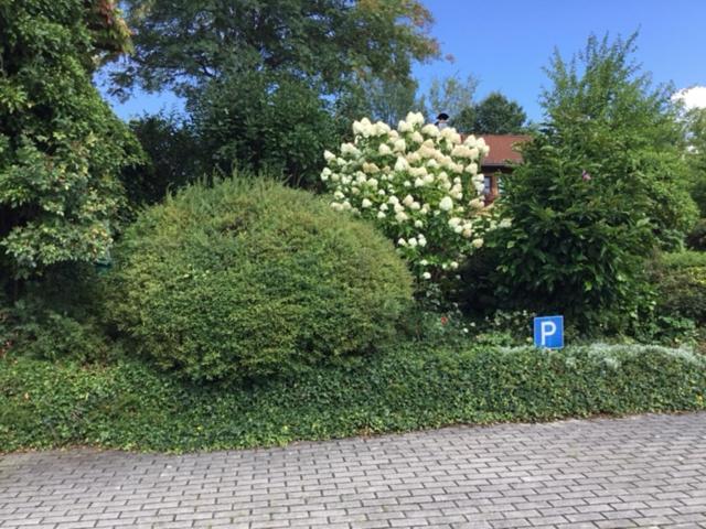 Bayerischer Wald - Balbersdorf Waffenbrunn Buitenkant foto